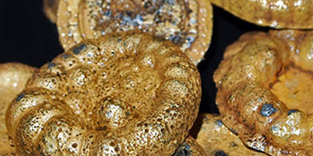 Gold Filled Scrap Gold Filled Scrap Buyers Gold Filled Refiners